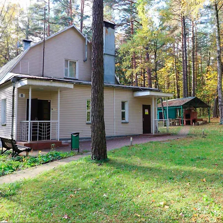 Houses In Stepyanka *